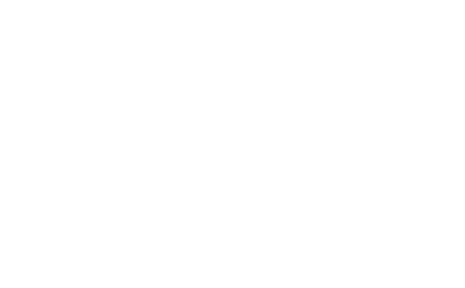 Schnellbesteller Icon