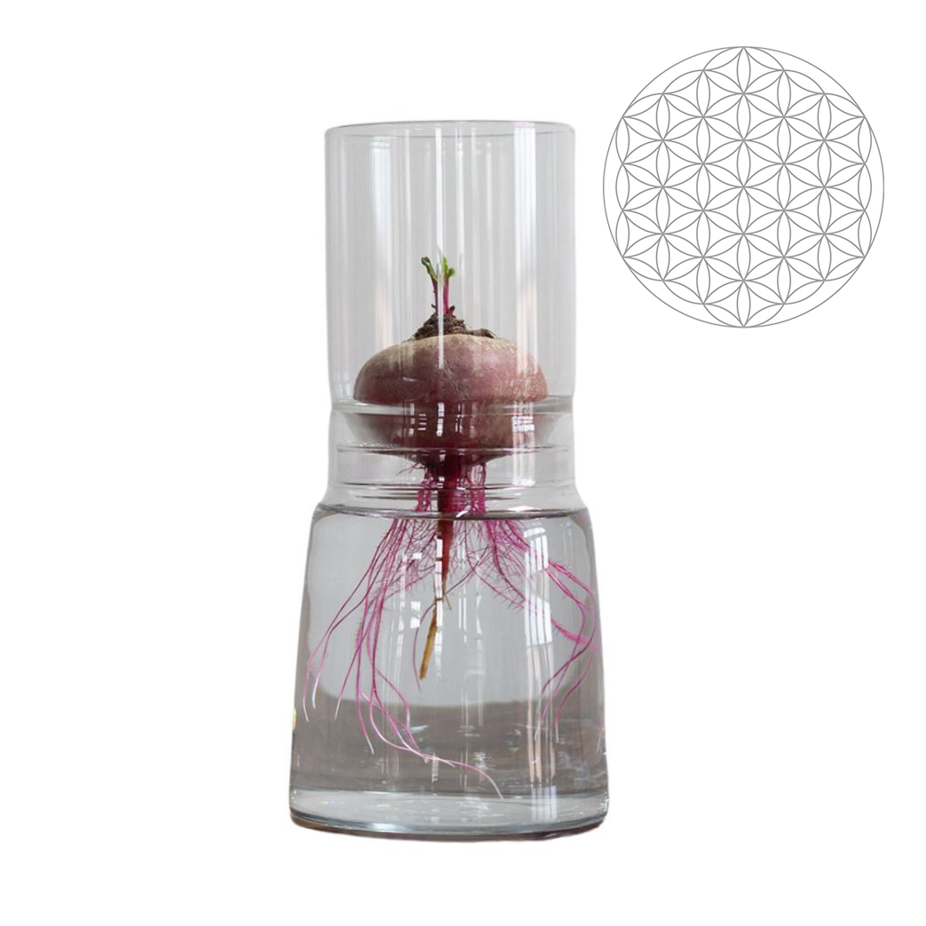 Anzuchtglasset mit langem Aufsatz Blume des Lebens, Durchmesser: 130 mm