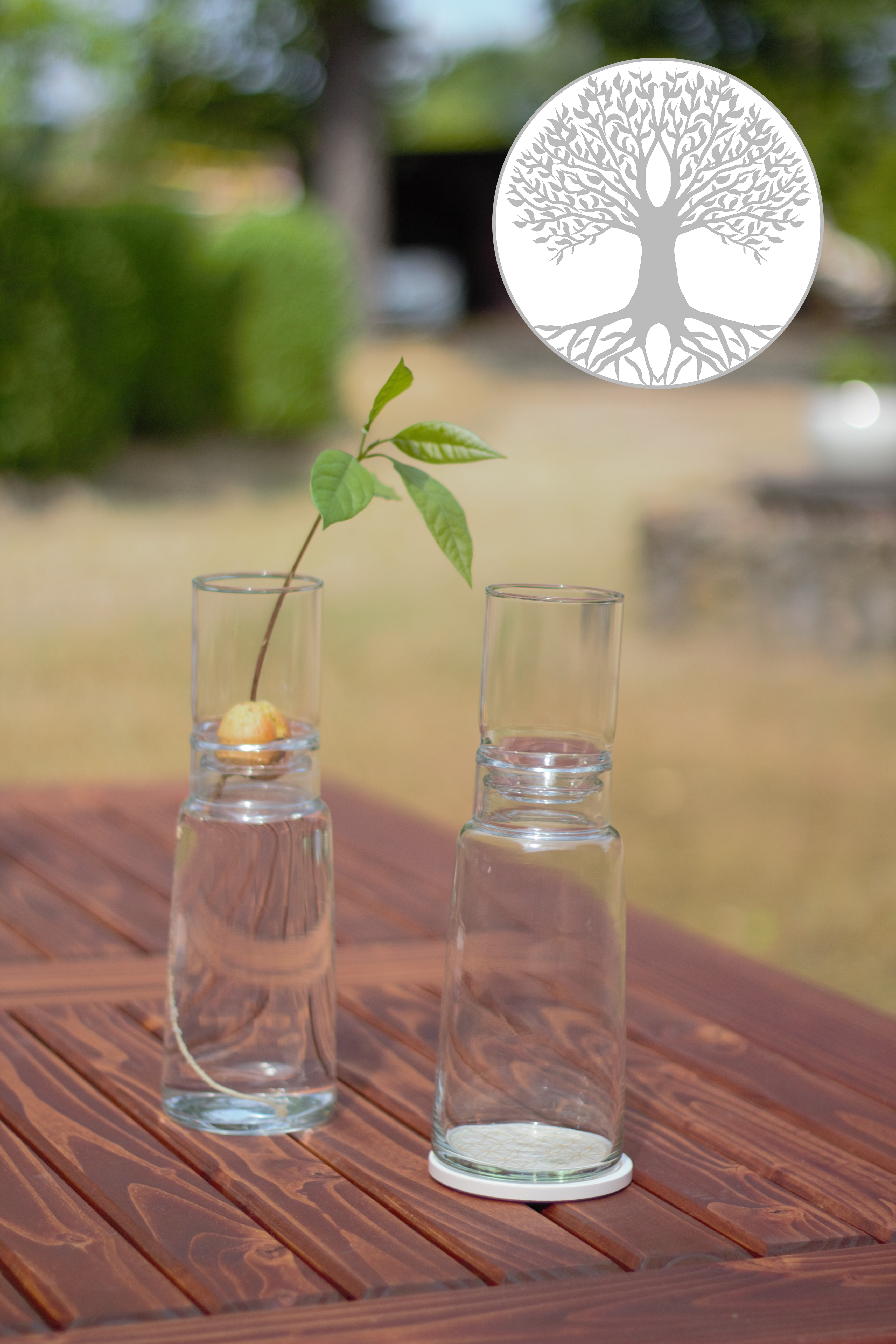 Cultivation Glass Set with short attachment, tree of life, diameter: 90 mm