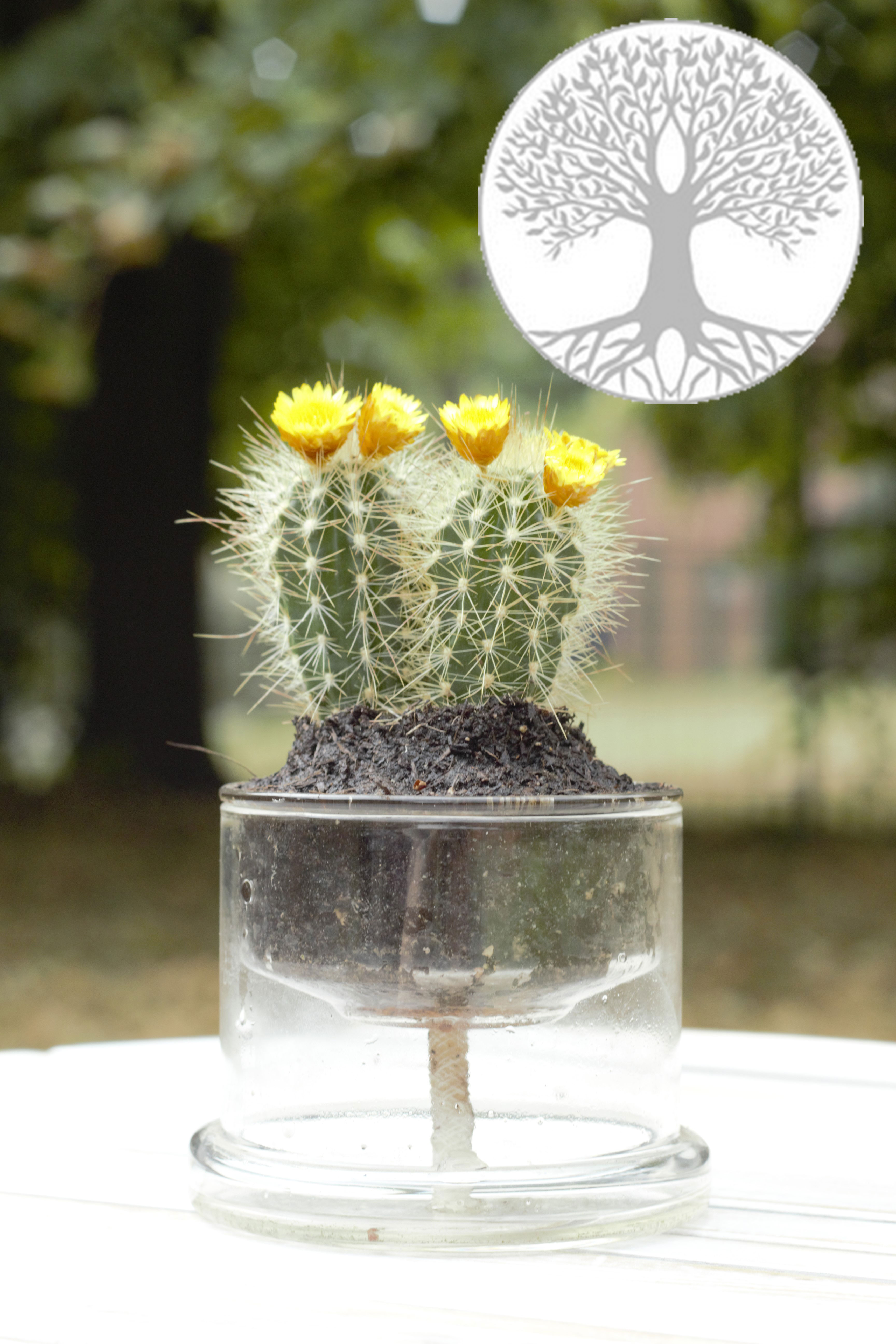 Selbstbewässerungstopf Lebensbaum 130 mm