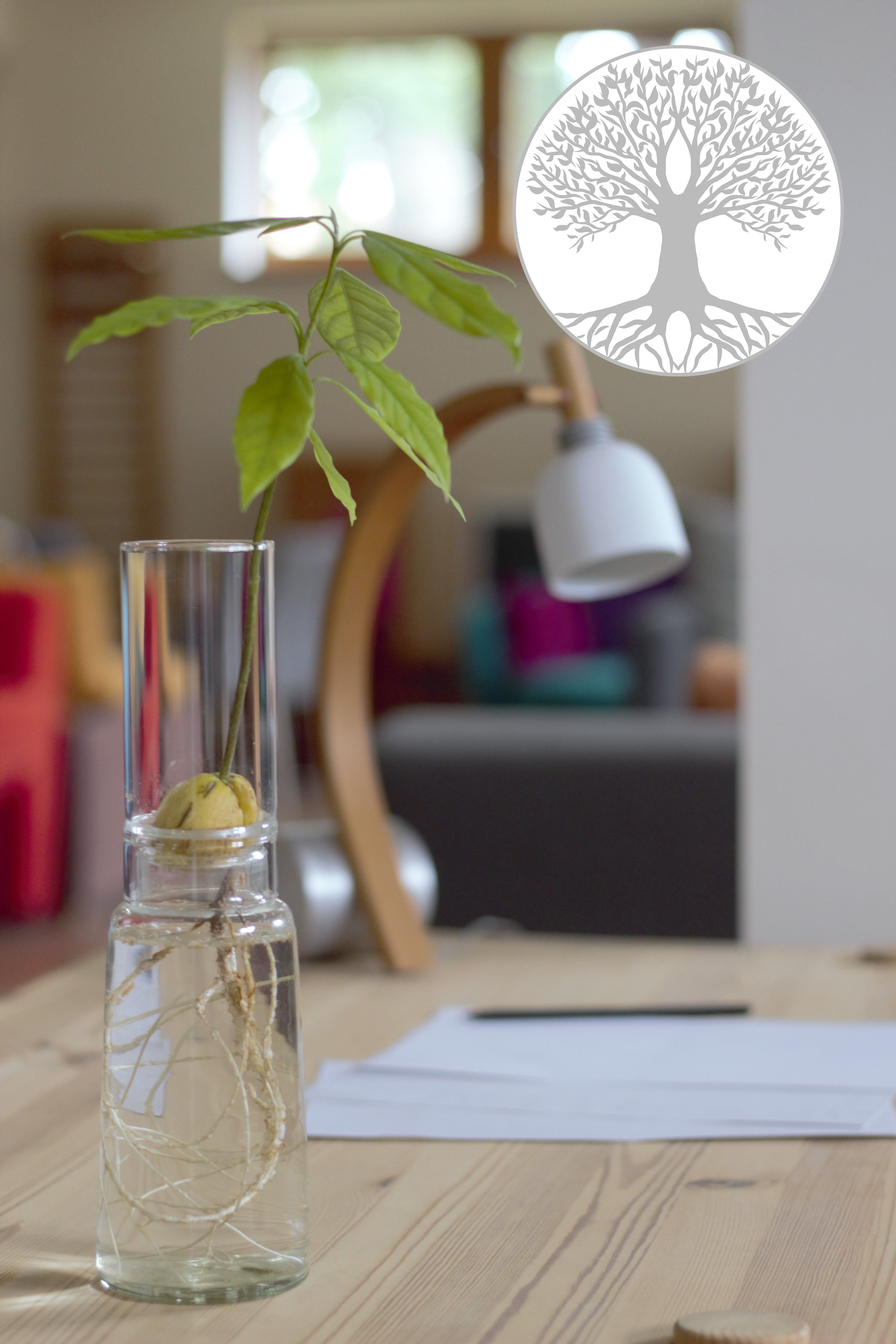 Set de verres de culture avec embout long Arbre de vie, diamètre: 90 mm