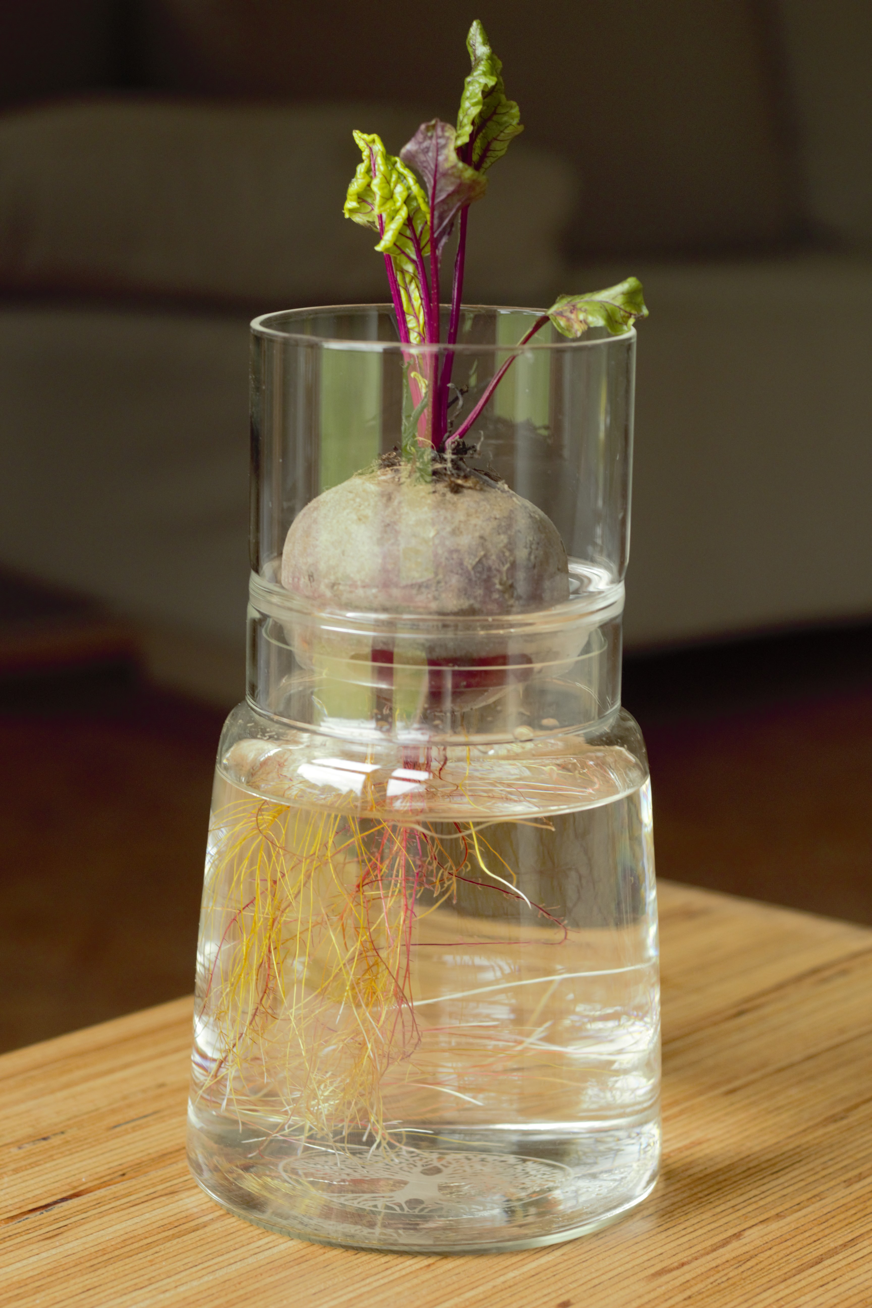 Growing jar set with short attachment tree of life, diameter: 130 mm