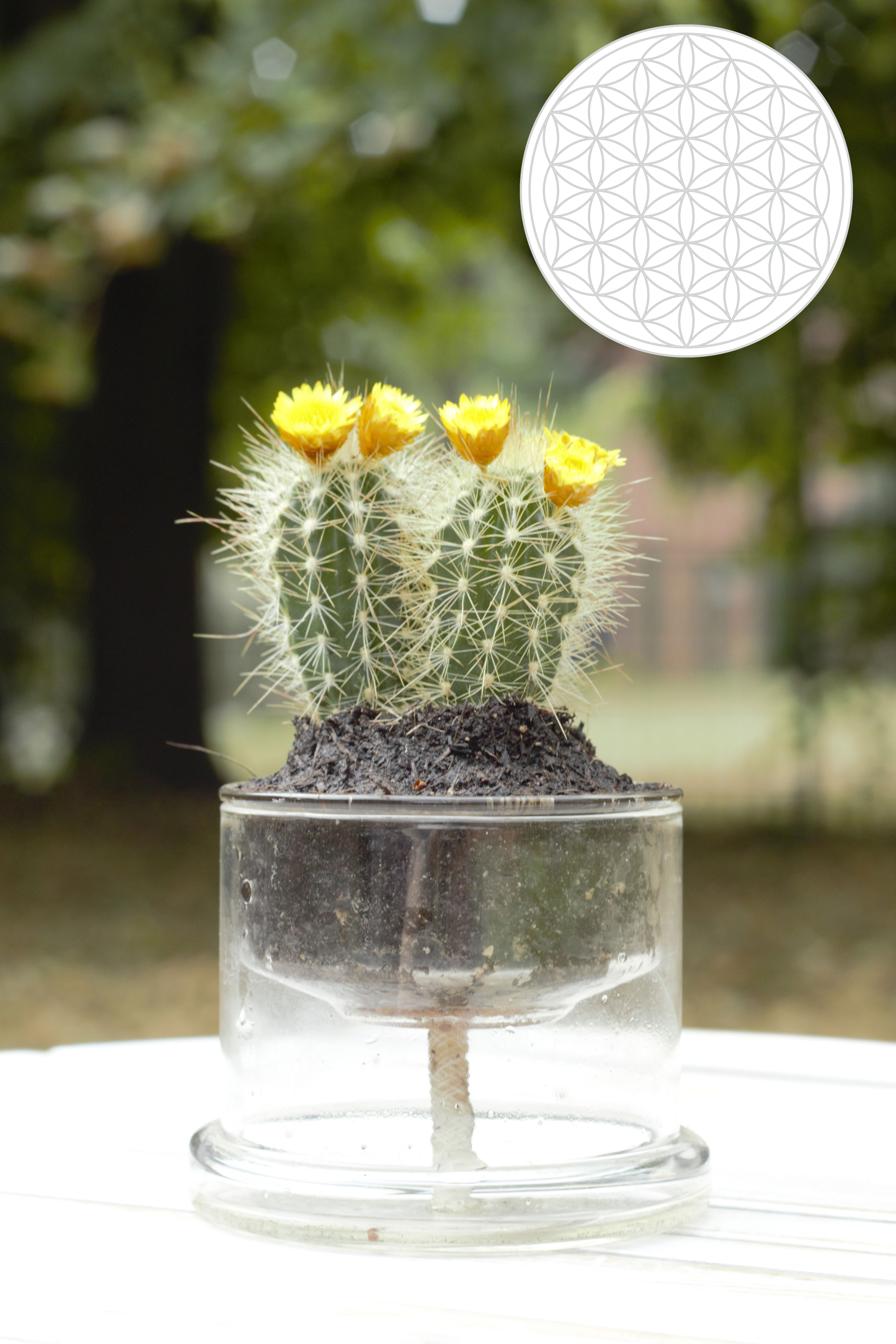 Selbstbewässerungstopf Blume des Lebens 130 mm